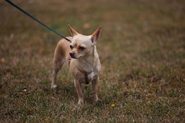 How Will Emerging UK Technologies Shape the Future of Industries?